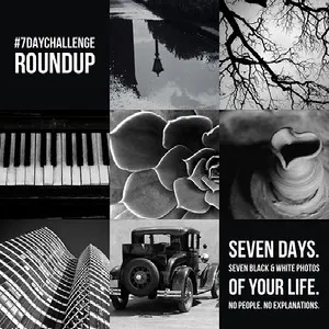 Black And White Seven Day Challenge Roundup Instagram Post  Tumble Collage