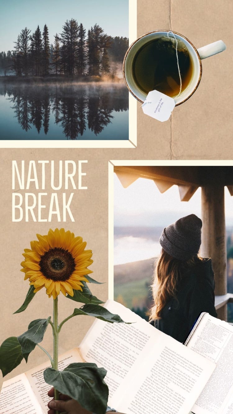 Brown Landscape Collage Nature Break Instagram Story