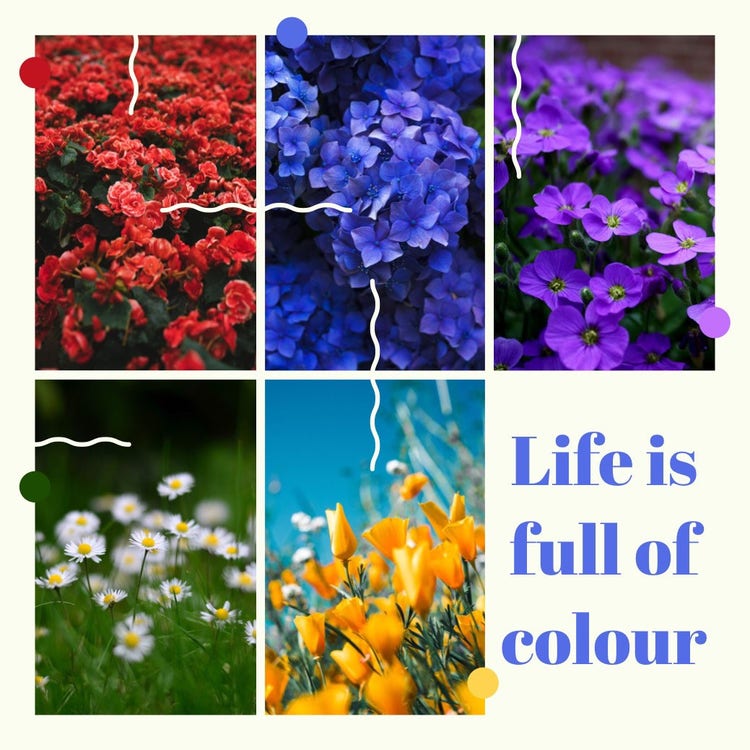 Light Toned Flower Pictures Collage Instagram Square