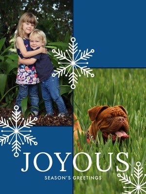 Blue, Green and White Family Christmas Card Family Collage