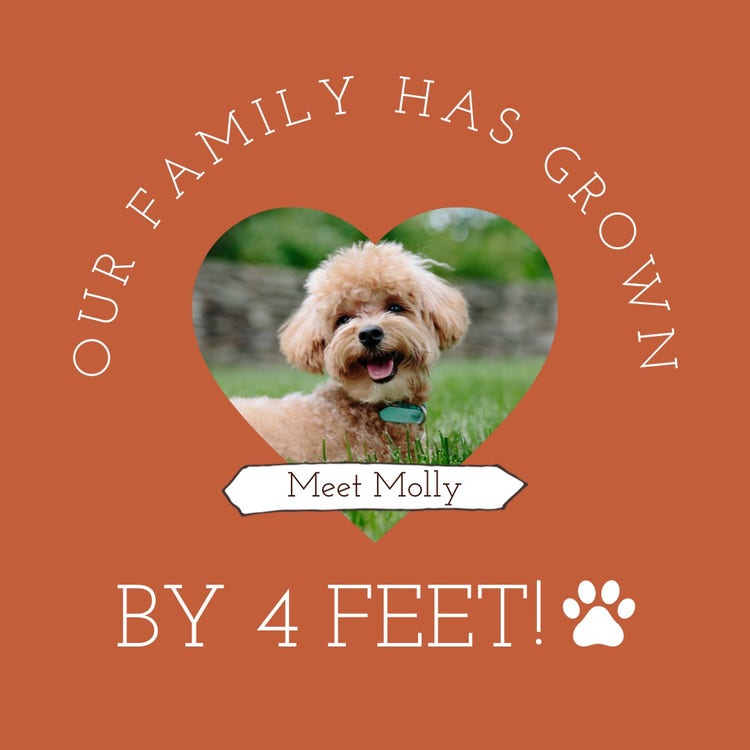 brown simple new puppy announcement