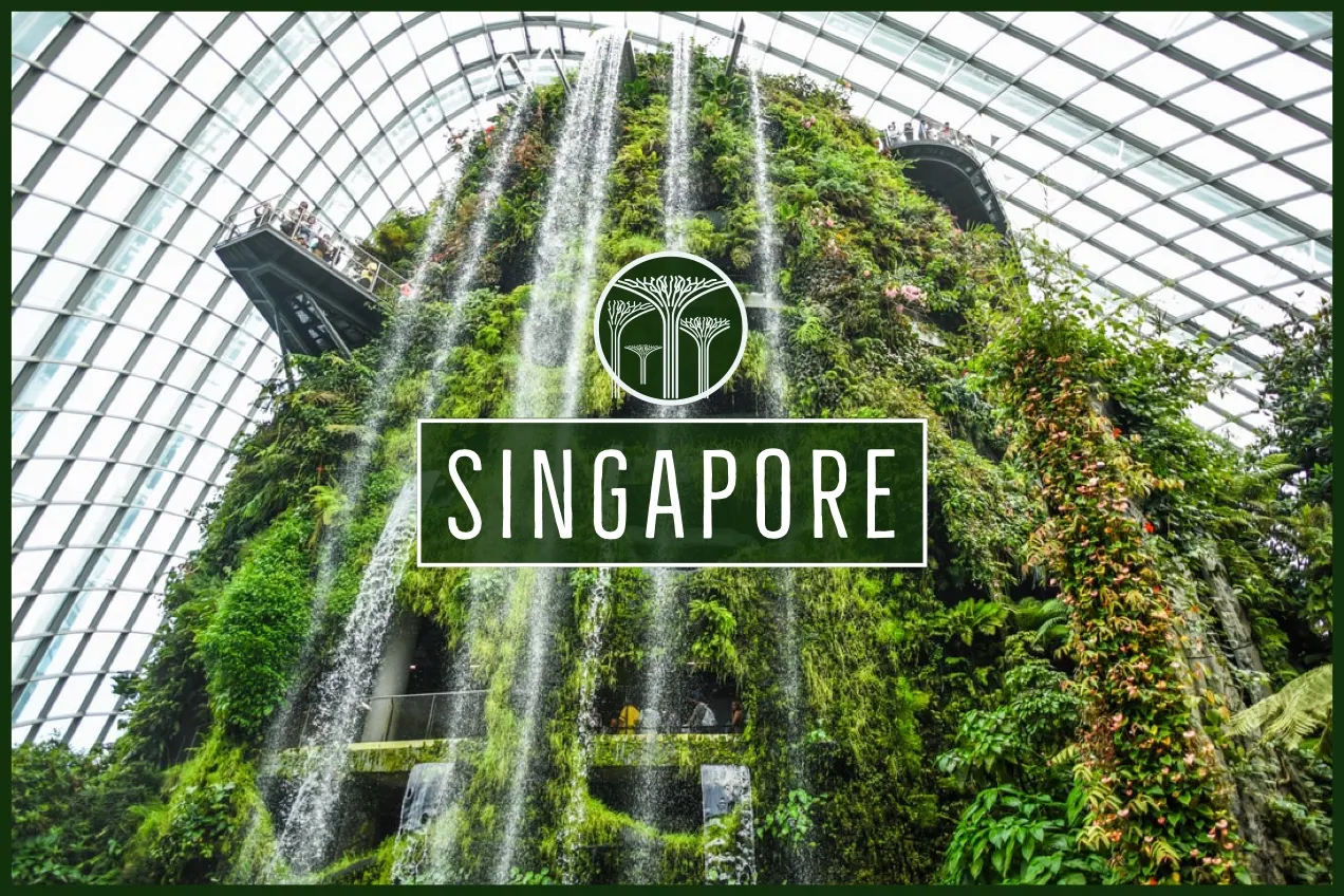 Green Singapore Postcard