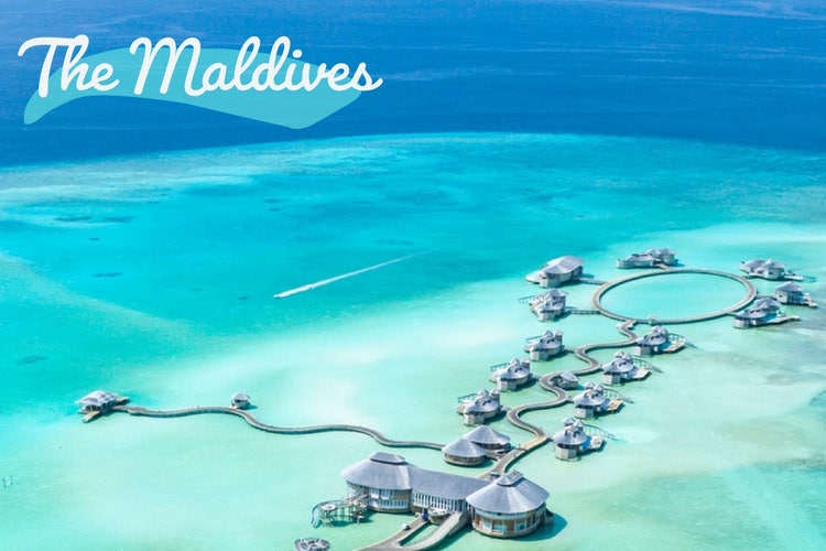 Blue Maldives Postcard
