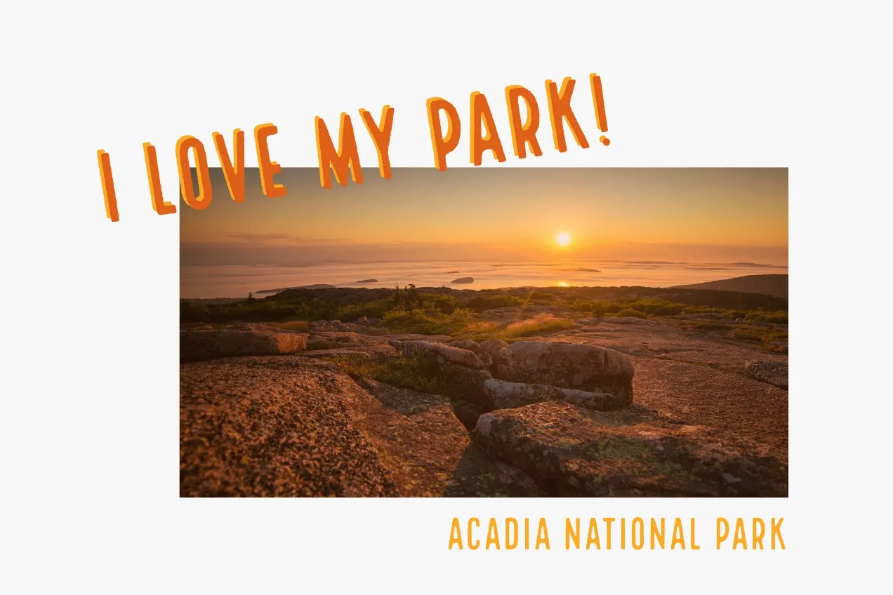 Orange and Yellow Warm Toned Acadia National Prak Card