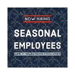Blue and White Seasonal Employees Instagram Graphic Ad Now Hiring Poster