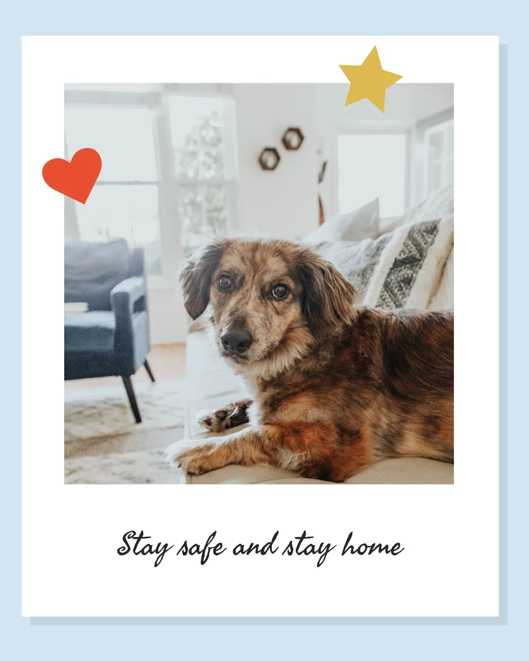Dog Polaroid Photo and Stay Home Caption Instagram Portrait Graphic
