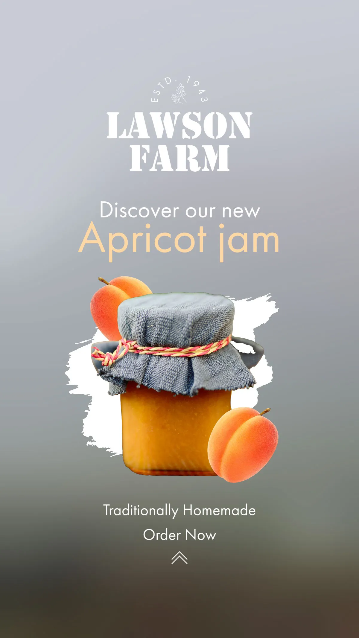 Grey And Orange Farm Apricot Jam Facebook Story