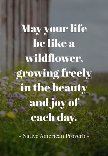 Green Meadow and White Quote Instagram Graphic