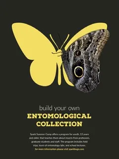 Yellow and Black Entomological Collection Course Flyer with Butterfly Summer Camp Poster