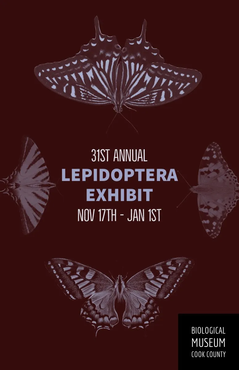 Brown and Blue Lepidoptera Exhibition Poster