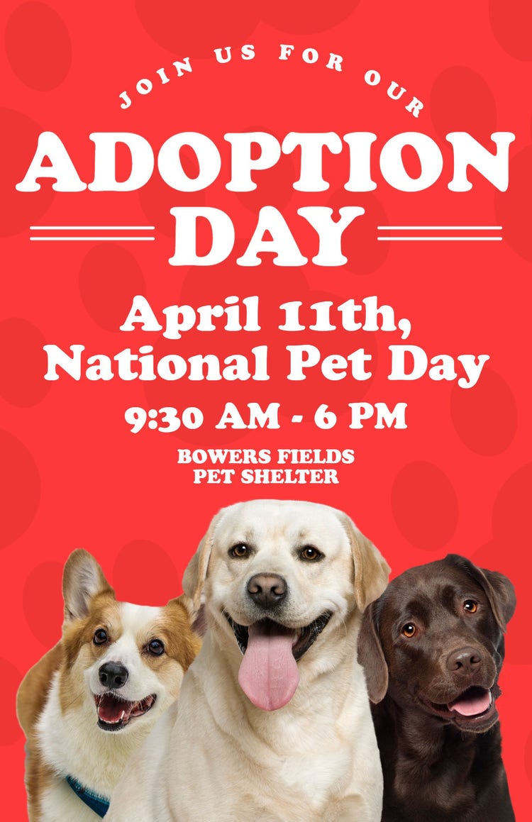 Red Cute Dogs Adoption Day Poster