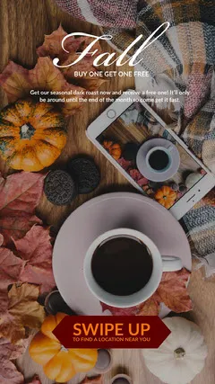 Autumn Color, Warm Toned Sale Ad Instagram Story Bogo