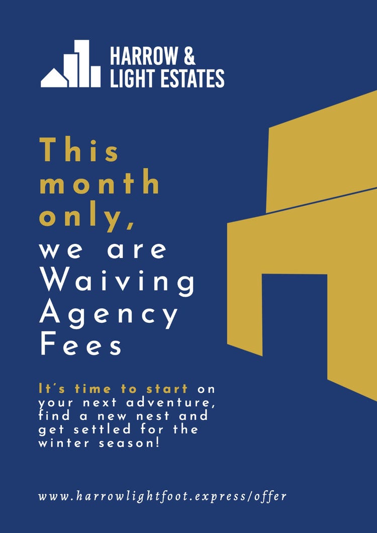 Navy Gold & White Estate Agent Fees Discount Offer Advert A3 Poster