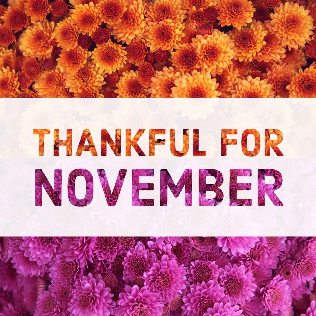 Orange and Violet November Meme Instagram Post