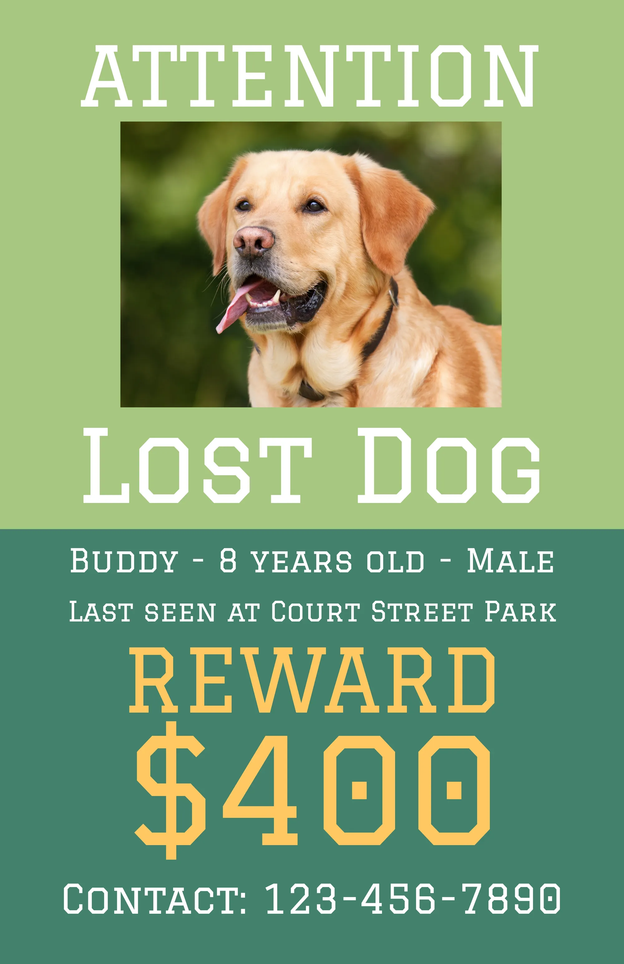 Free Customizable Missing Pet Poster Templates  Adobe Spark Pertaining To Missing Dog Flyer Template