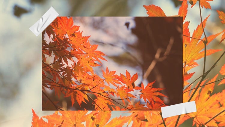 Orange Collage Fall Desktop Wallpaper