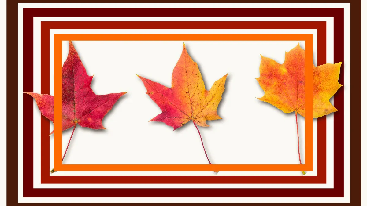 Orange Modern Leaf Fall Desktop Wallpaper