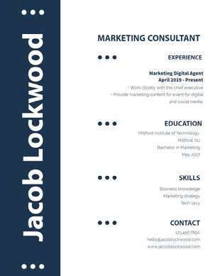 Blue and White Marketing Consultant Resume Resume  Examples