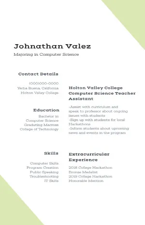 White and Green Professional Resume Resume  Examples