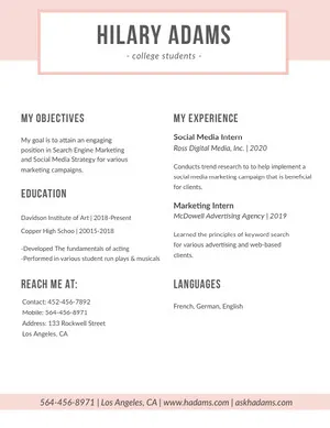 Pink SEO and Social Media Marketing Resume Resume  Examples