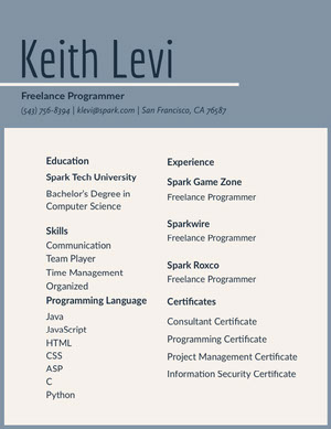 Blue and Grey Keith Levi Resume Resume  Examples