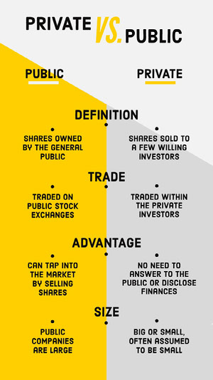 Yellow and Gray Private vs Public Business Infographic Infographic Examples