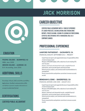 Teal Accountant Resume Resume  Examples