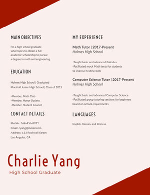 Red Math and Engineering Resume Resume  Examples