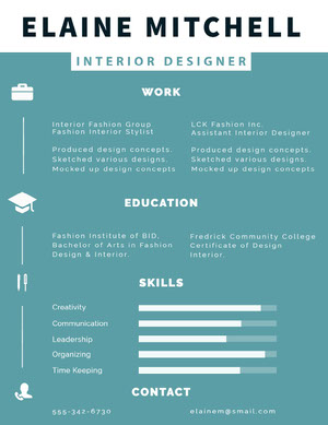 Blue and White Interior Designer Resume Infographic Examples