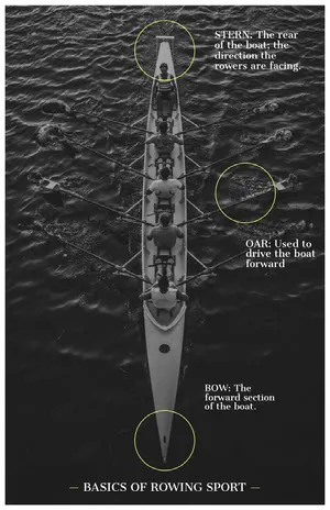 Black and White Rowing Sport Basics Infographic Infographic Examples