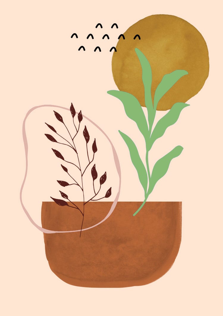 Green & Brown Illustrated Plant in Pot A3 Poster