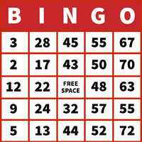Red Bingo Card with Numbers Birthday Design