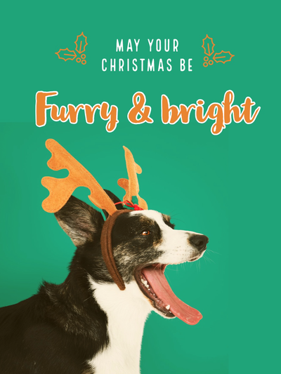 Dog Christmas Card Sayings Merry Christmas Wishes And Messages | Adobe Express