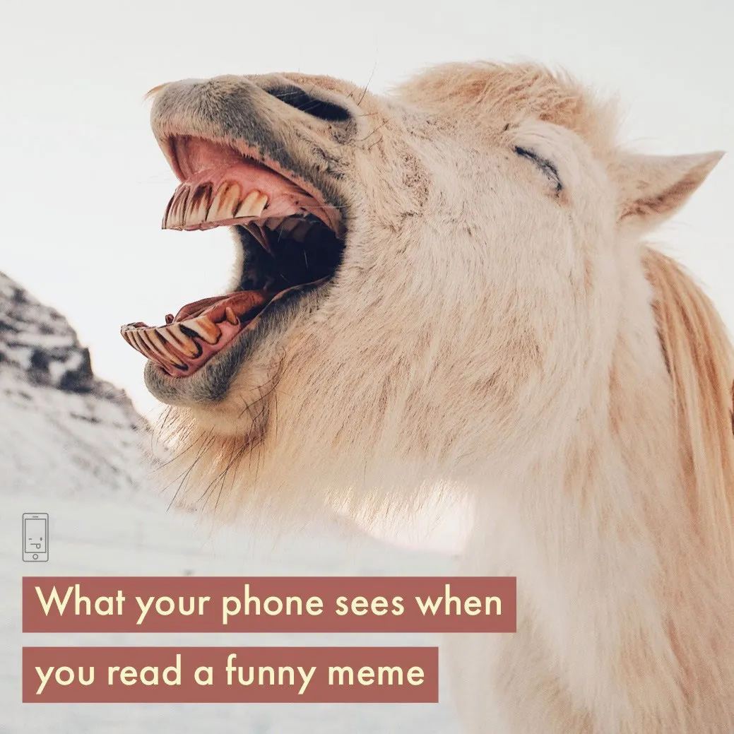 Funny Animal Meme with Laughing Camel