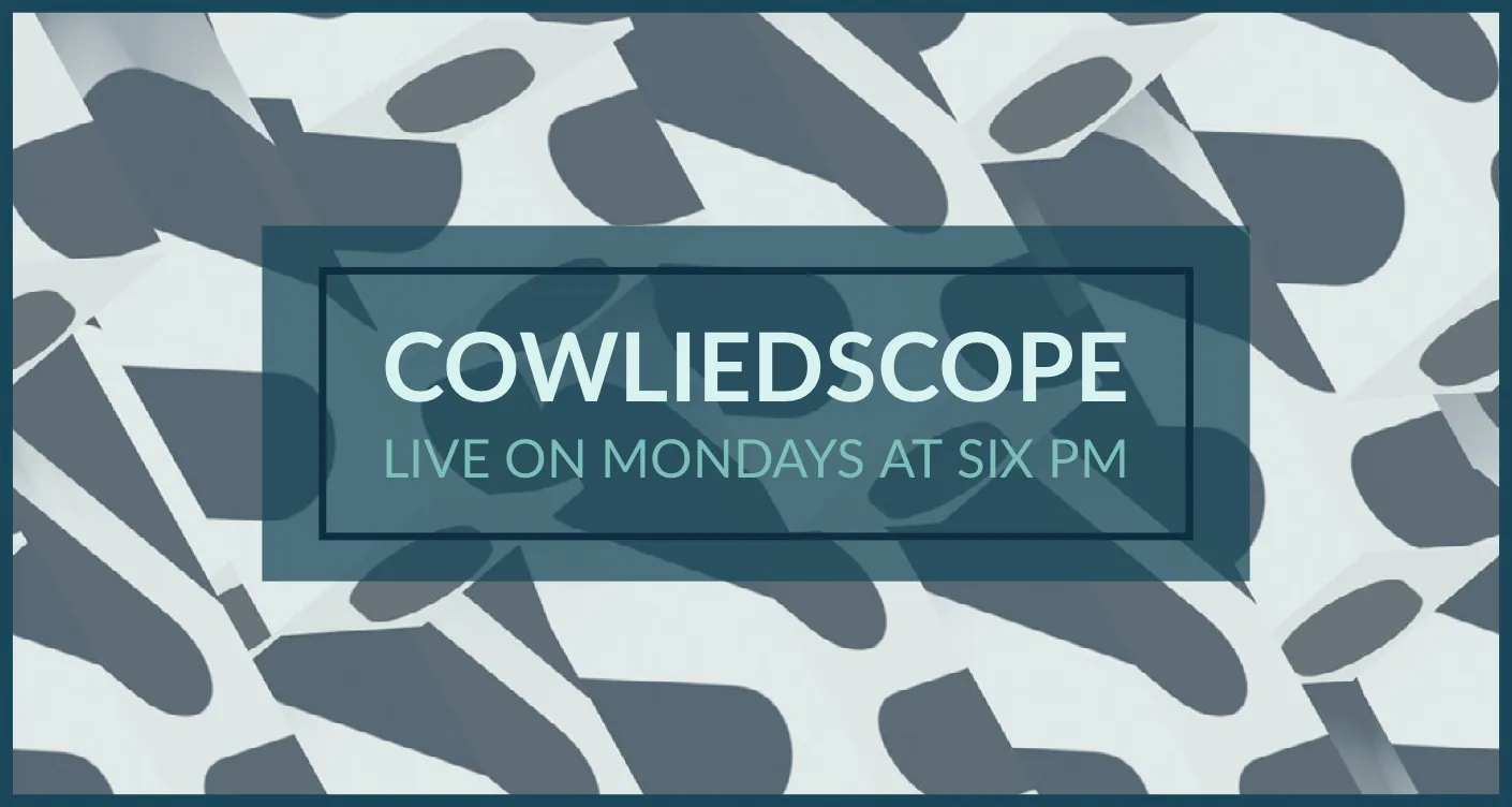 Cow Print Twitch Banner