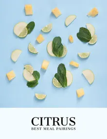 Blue Citrus Fruit Magazine Cover Magazine Cover