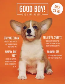 Orange Dog Magazine Cover Magazine Cover