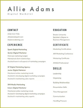  White and Grey Modern Digital Marketer Resume Resume