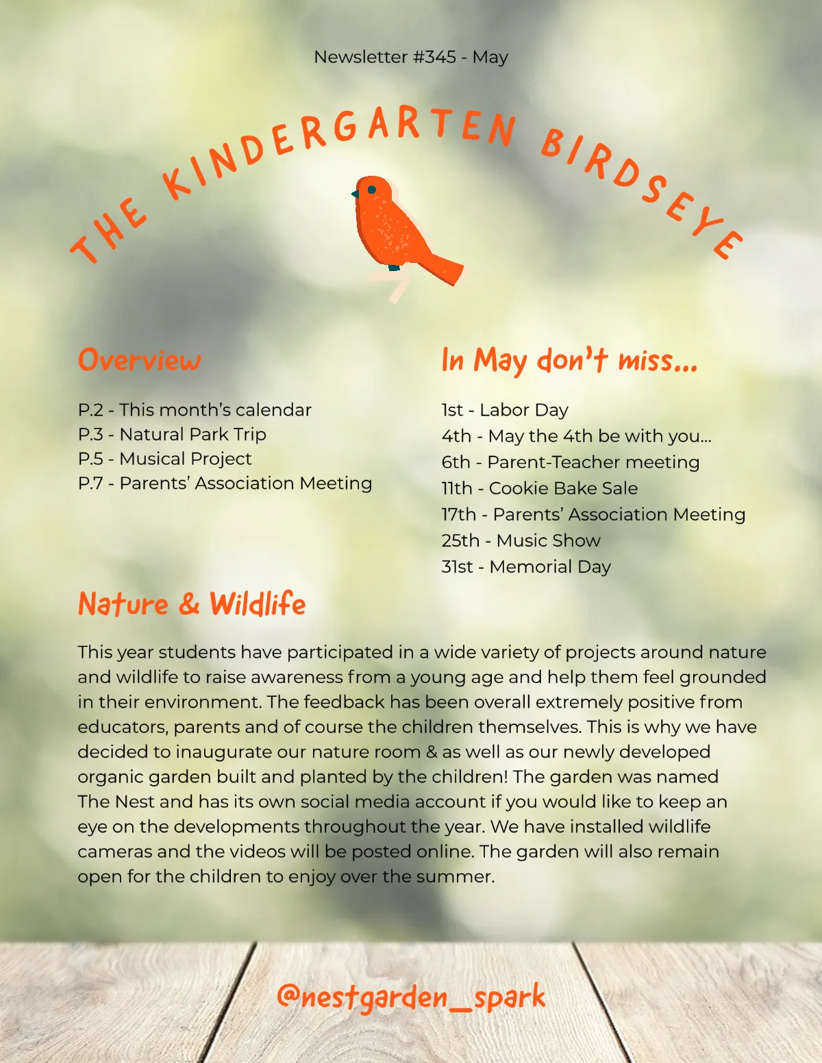 Green And Red Bird Kindergarten Newsletter