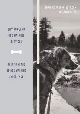 Black and White Dog Walking Services Flyer Flyer