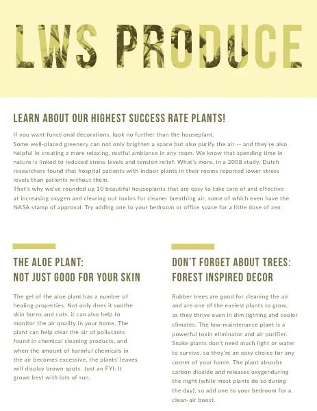 Yellow Agriculture and Plants Newsletter Graphic