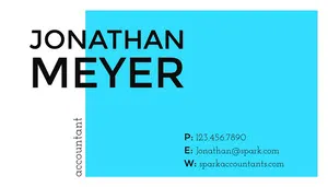 Cyan Profressional Accountant Business Card Business Card