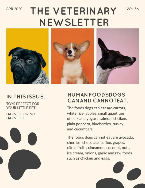 Dog Photos Veterinary Newsletter