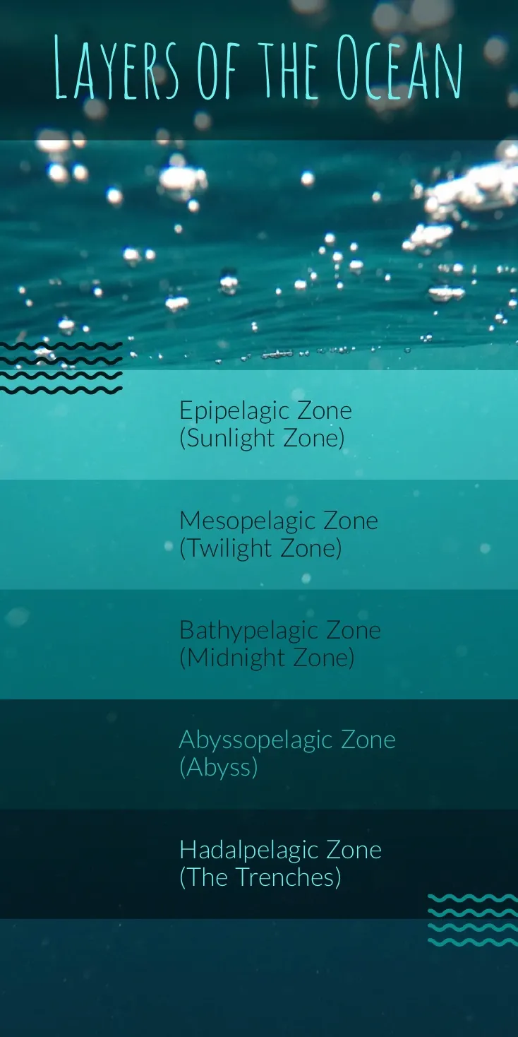 Blue and Turquoise Ocean Layers Infographic