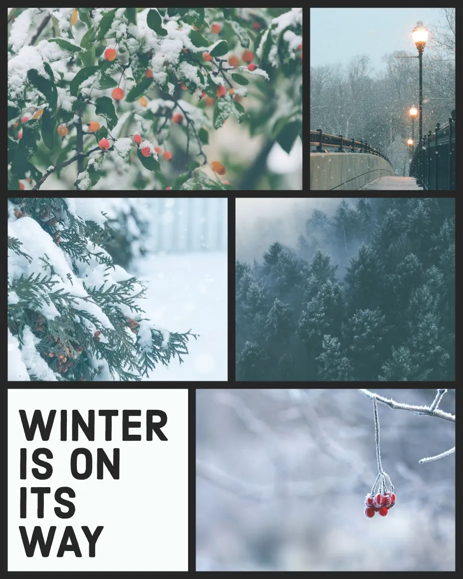 Winter Collage Instagram Portrait