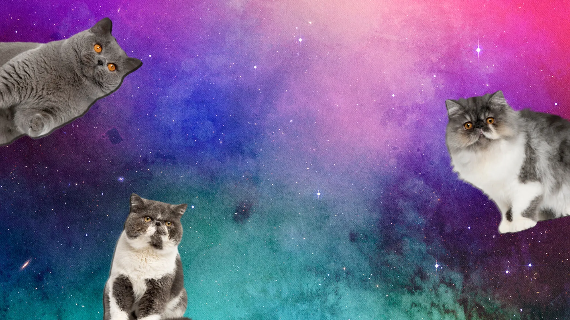 Cats in Space Desktop Wallpaper