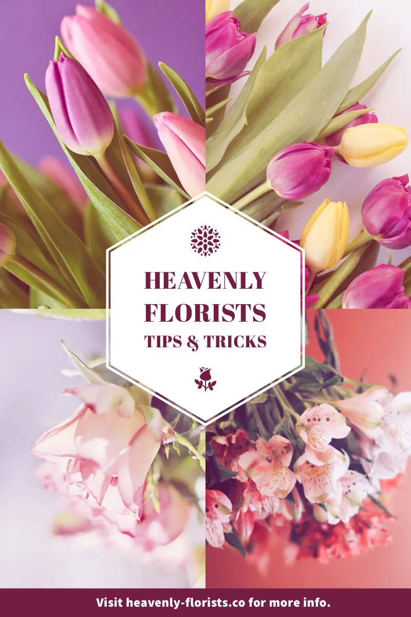 White With Colorful Flowers Florists Tips Pinterest