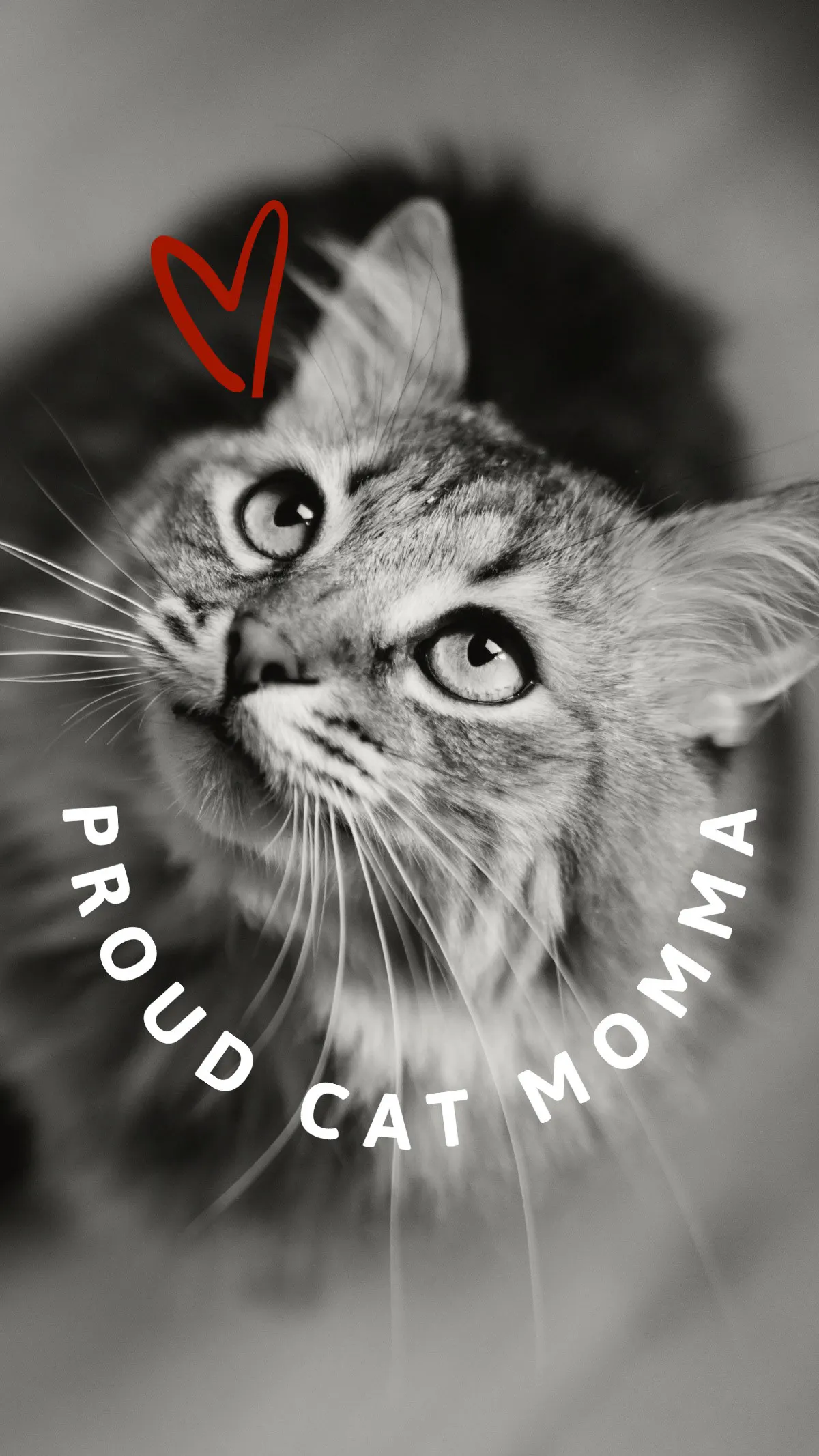 Black, White & Red Proud Cat Momma Mobile Wallpaper