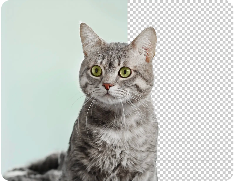 How to create transparent images with no background using Adobe Express?