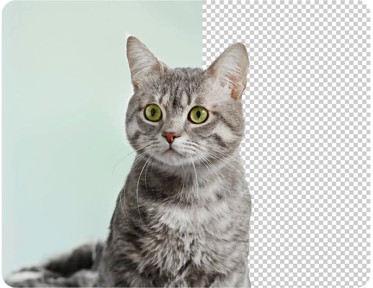 Free Transparent Background Maker | Adobe Express